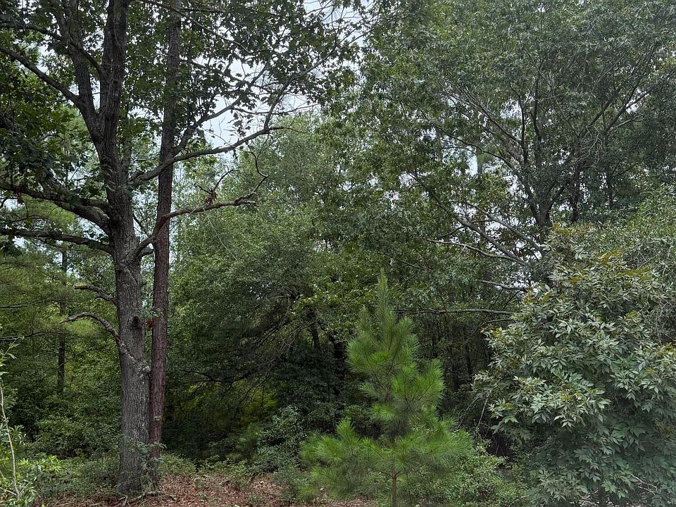 2nd image of 406 Douglas Drive