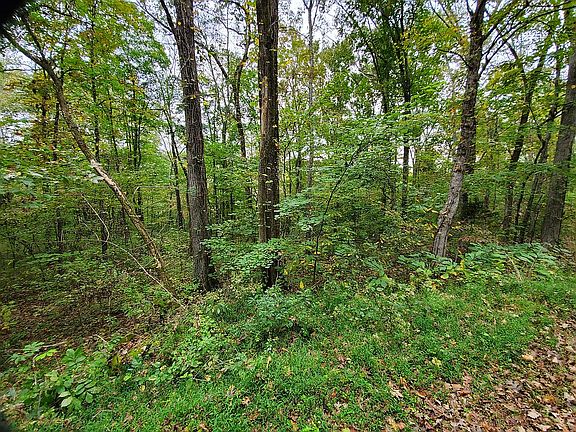 2nd image of 368 Waynick Rd