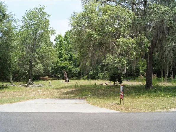 11702 E Cardinal Pl, Floral City, FL 34436