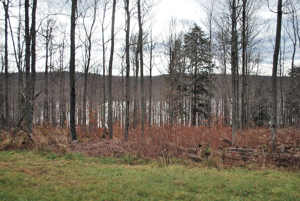 1st image of The Woods At Duck Hbr Lot 70