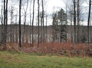 The Woods At Duck Hbr LOT 70, Equinunk, PA 18417