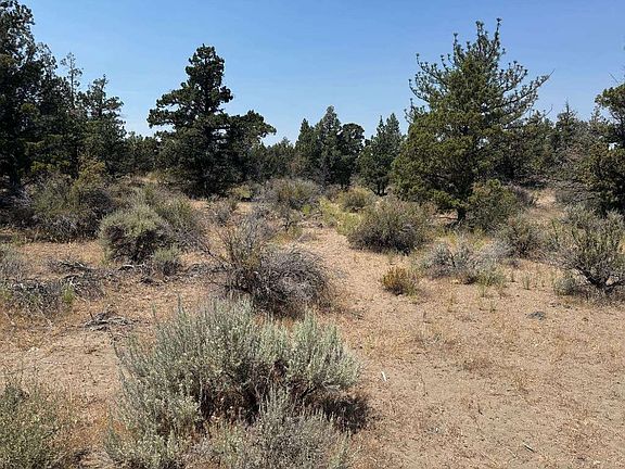 3rd image of LOT 2 Feldman Rd