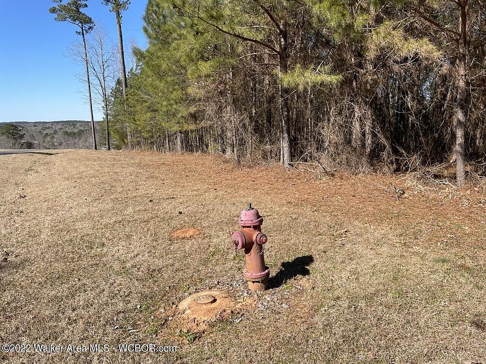 2nd image of 55 Brushy Ln