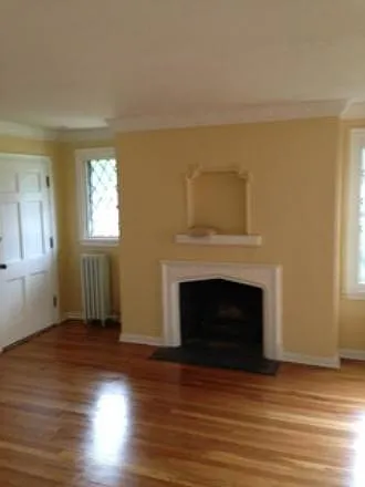 Wood burning working fireplace