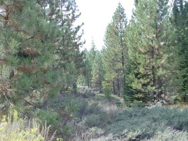 1st image of 7318 Marilyn Dr