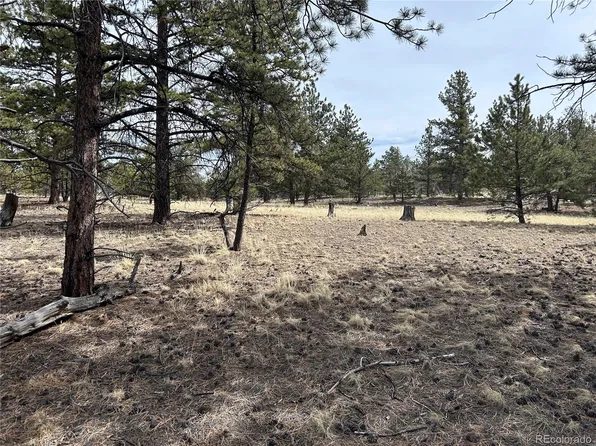 2146 Wagon Wheel Road LOT 353, Hartsel, CO 80449