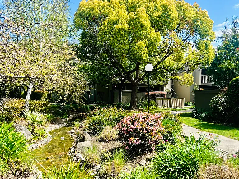 49 Showers Dr #A — Photo 20
