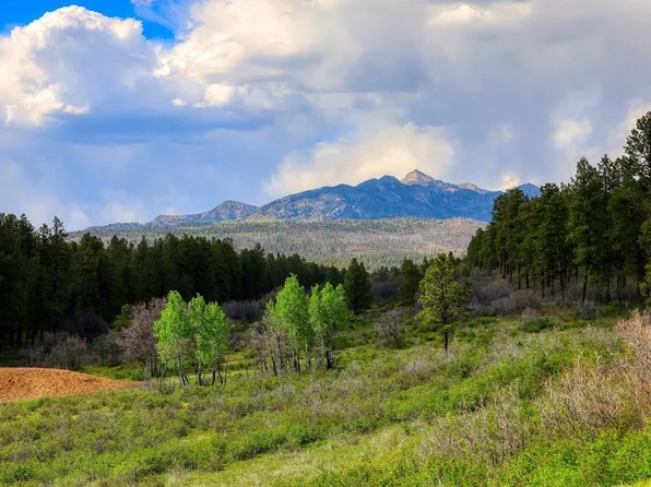701 Piney Place, Pagosa Springs, CO 81147
