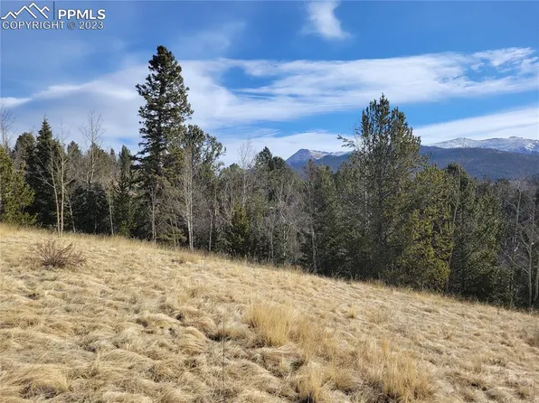 3179 County Road 61, Cripple Creek, CO 80813