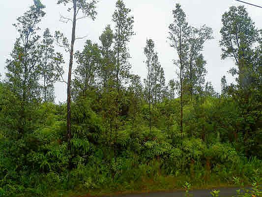 1st image of Road 3 Hopue Lot 3298