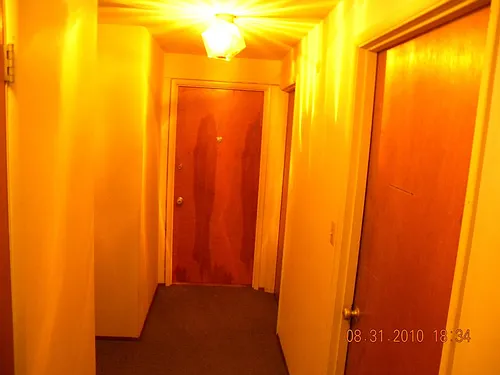 4615 Phinney Ave N #8 Photo 1