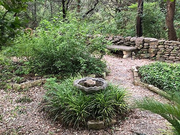 Xeriscape front area