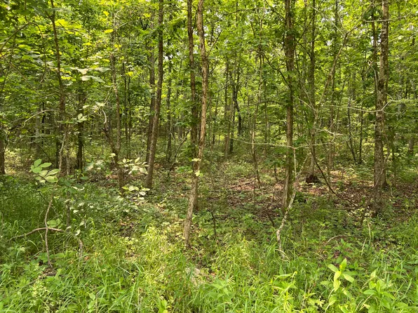 Lots 7 & 8 County Road 206, Alton, MO 65606