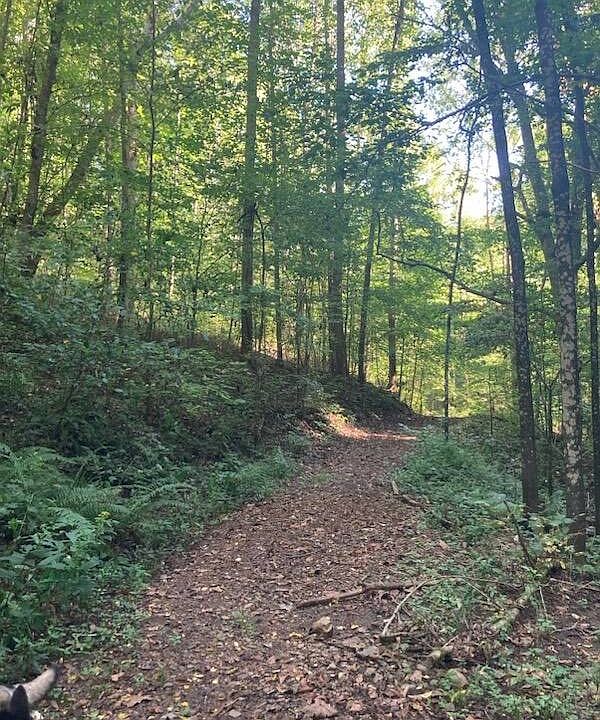 1st image of 0 Goose Creek Rd