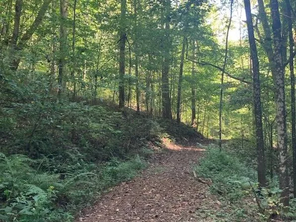 0 Goose Creek Rd, Burkesville, KY 42717
