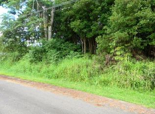 N Lauko Rd LOT 222, Mountain View, HI 96771