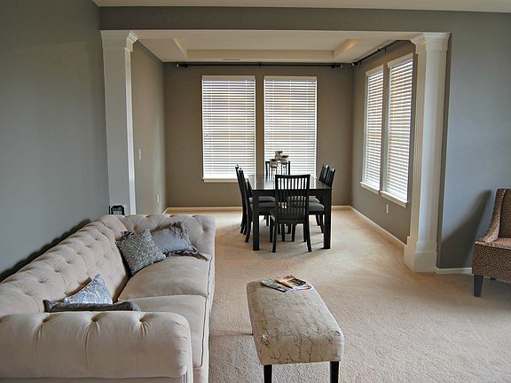 Living Room-Dinning room 