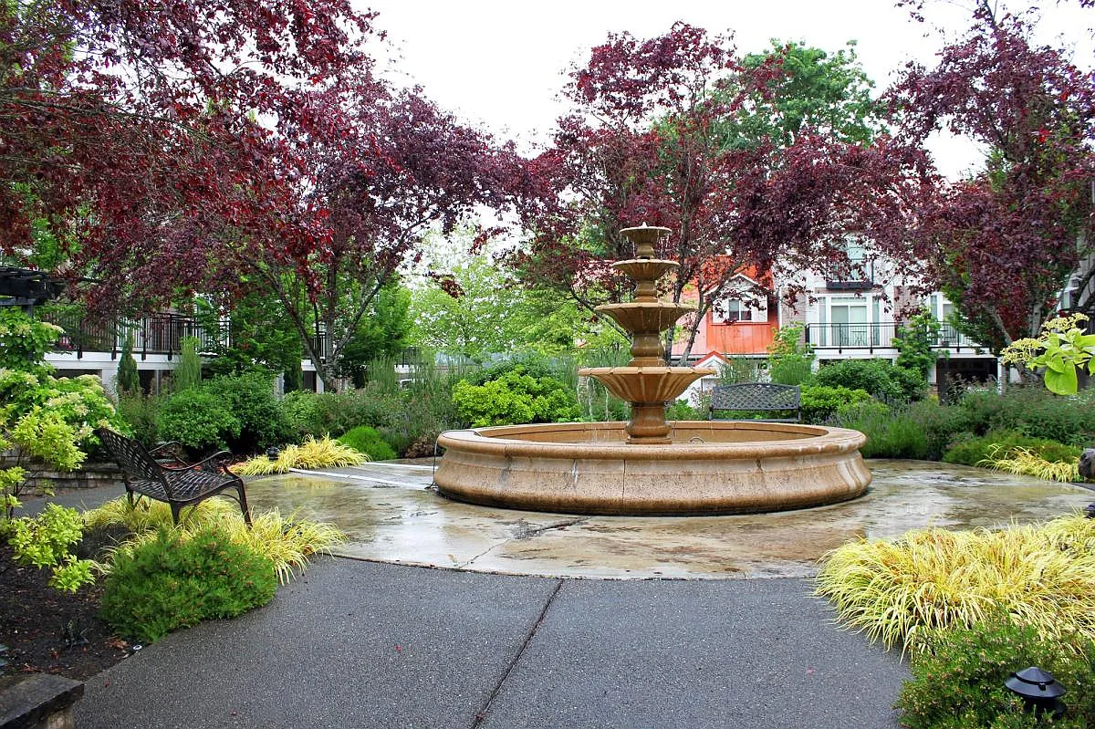 3 bed, 2.5 bath, 1698 sqft, $3,200 — Photo 2