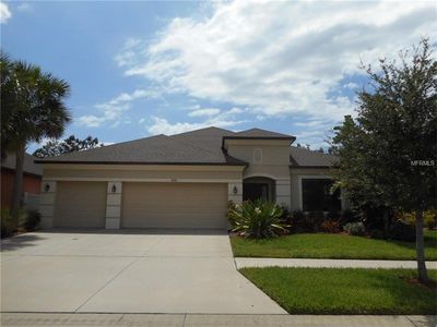 8438 White Poplar Dr, Riverview, FL, 33578