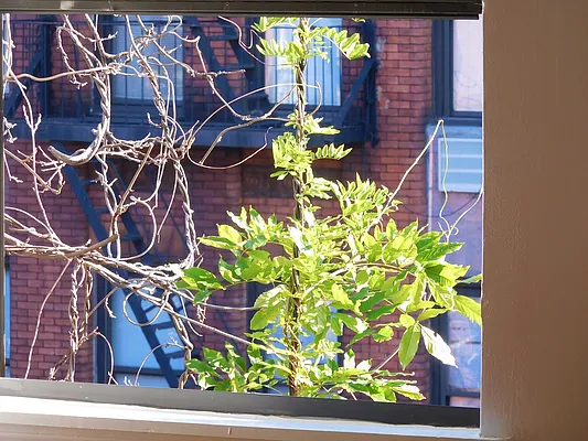 Rented by Renetta Real Estate | media 11