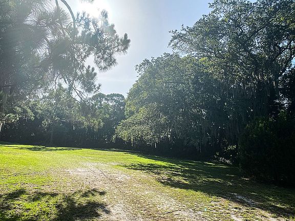 Back yard