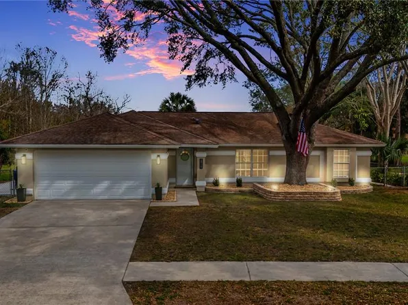 24121 Landing Dr, Lutz, FL 33559