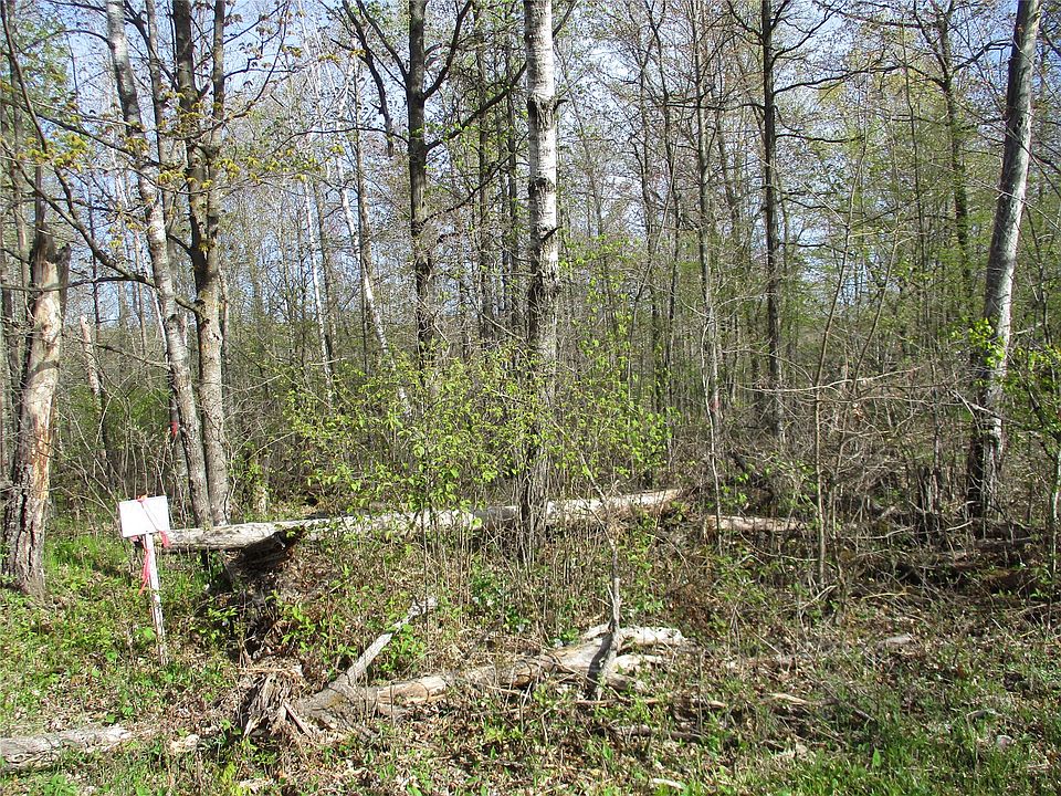 2nd image of Lot #24 28 1/8 Avenue