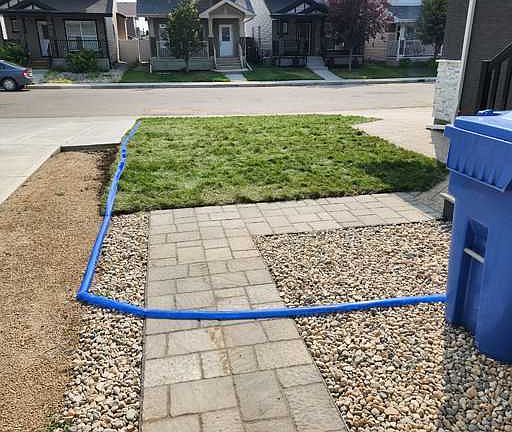 4th image of 4142 E Green Olive Way