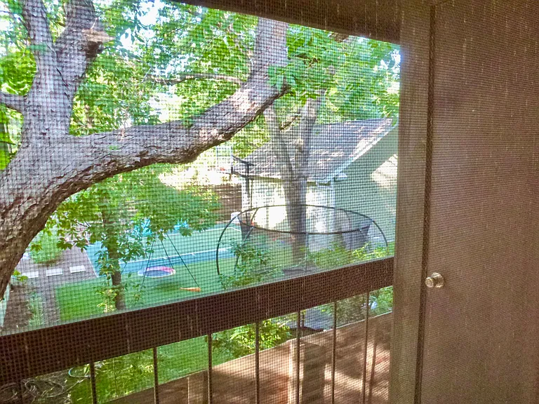 Balcony tree view.