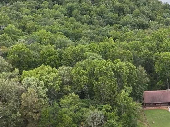 25 County Road 804, Gamaliel, AR 72537