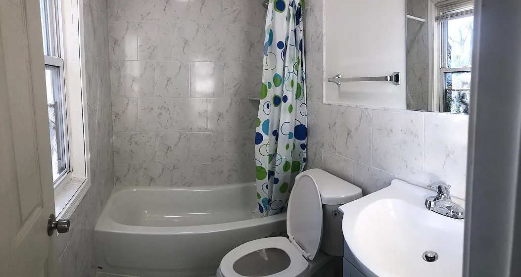 1 bed, 800 sqft, $780 — Photo 3