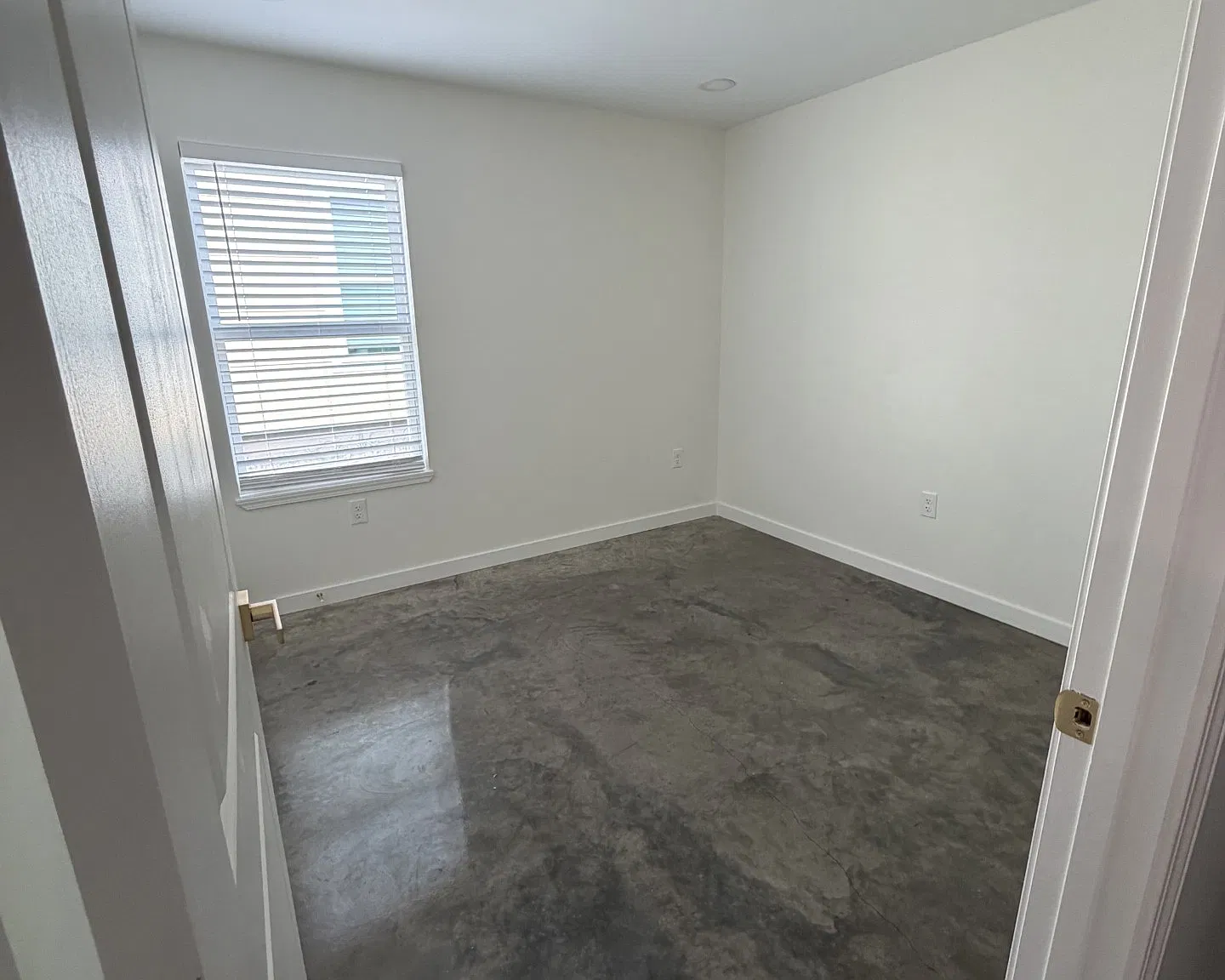 2 bed, 800 sqft, $1,350 — Photo 4