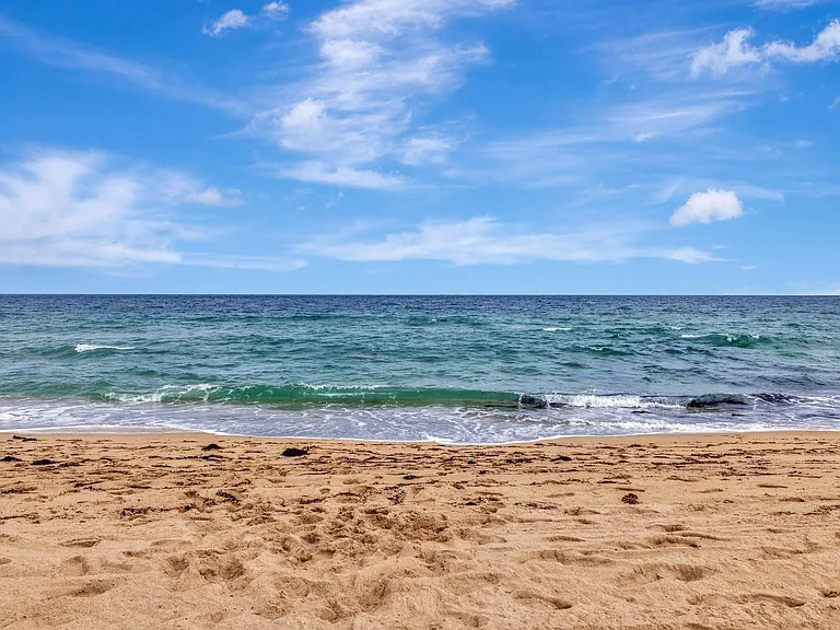 4548 N Ocean Dr #3 — Photo 41