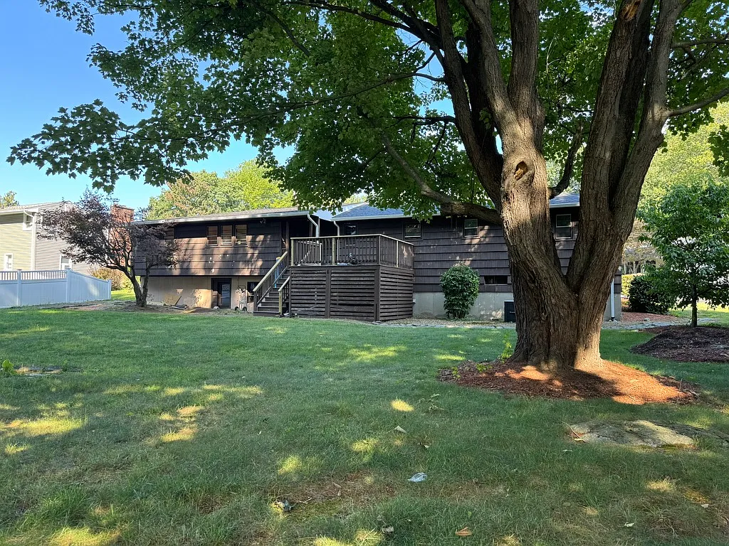 3 bed, 1.5 bath, 1446 sqft, $3,295 — Photo 3