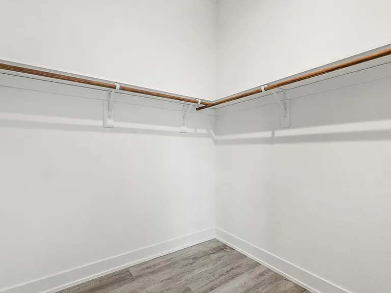 Primary Walk-In Closet