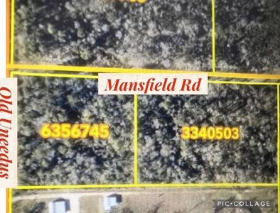 Old Uneedus Rd, Loranger, LA, 70446