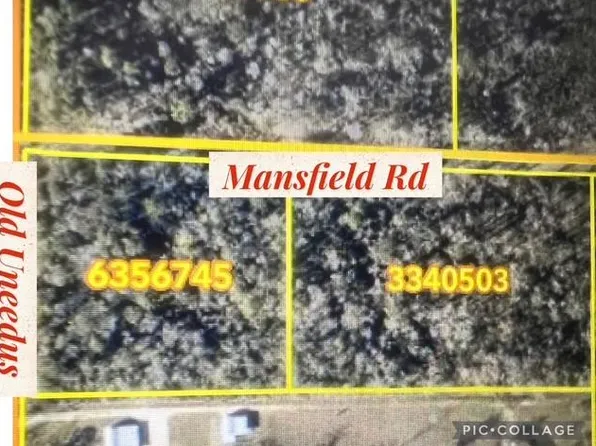 Old Uneedus Rd, Loranger, LA 70446