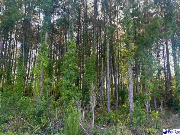 Commanchee Street Lots, Hartsville, SC 29550