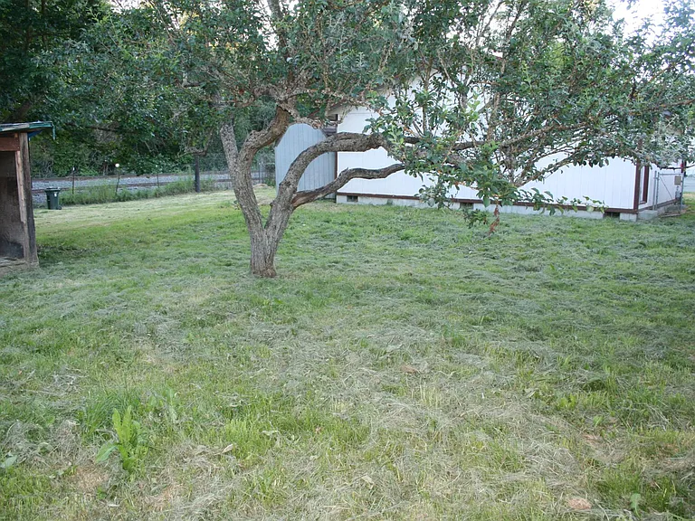 6624 McKinley Ave — Photo 13