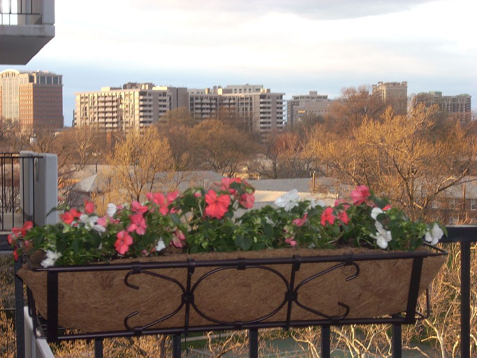 view from the balcony