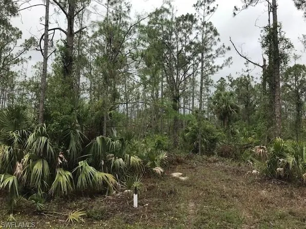 2309 Leroy Ave, Alva, FL 33920