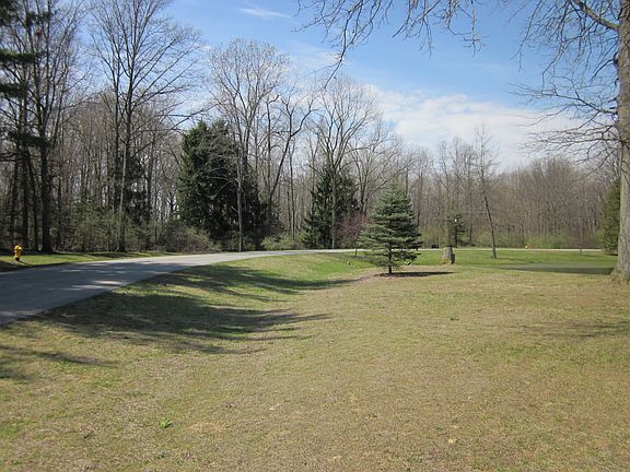 4th image of 9101 Pine Forest Cir