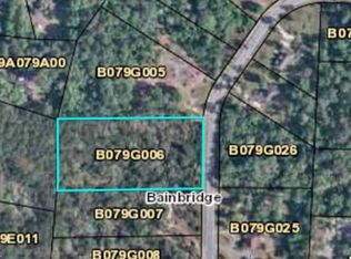 2217 Wyndham Way Dr, Bainbridge, GA 39819