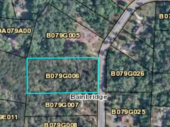 2217 Wyndham Way Dr, Bainbridge, GA 39819