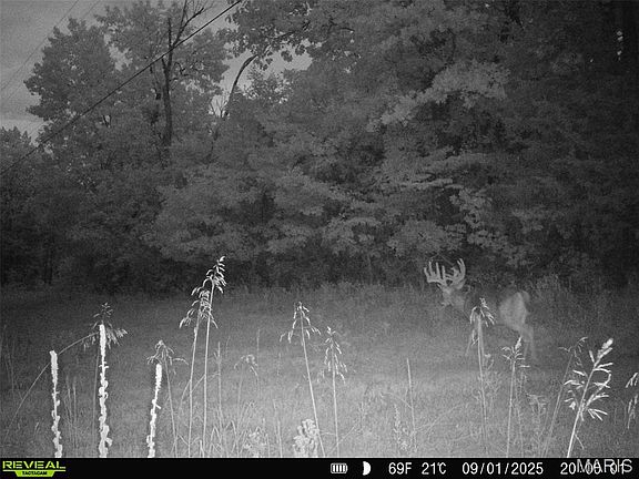 4th image of 0 County Road 4055