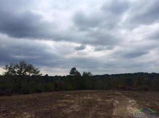 Tbd Jonquil Rd, Diana, TX 75640