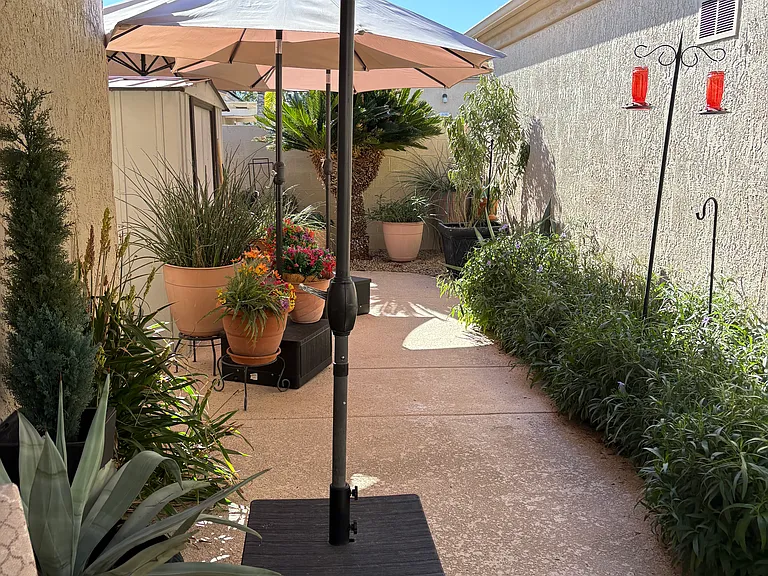 21754 N Limousine Dr — Photo 10