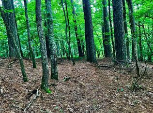 Spalding Ct, Ellijay, GA 30540