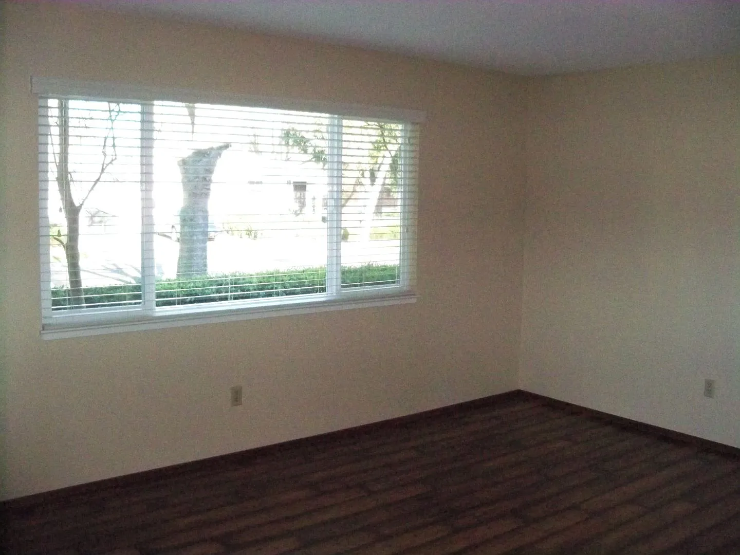 2401 Vera Cruz Dr — Photo 3