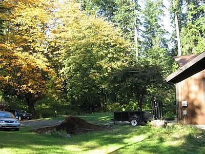 Other side yard showing deciduous trees.